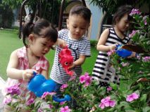 Hình ảnh hoạt động của bé